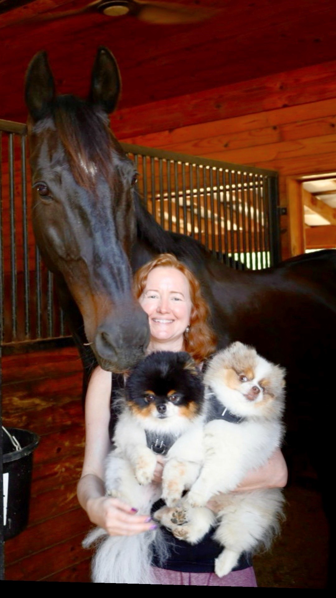 Suzie Miller in a barn holding two Pomeranians, Sky and Indy, beside her horse Onyx in Mooresville, NC